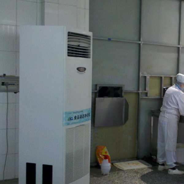 保山食品正负离子空气杀菌器